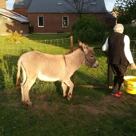 فندق مبيت وإفطار D'hotes 