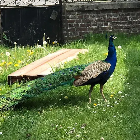 فندق مبيت وإفطار D'hotes 