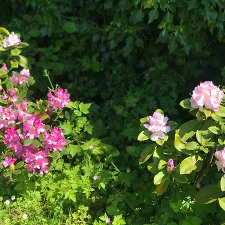 فندق مبيت وإفطار D'hotes 