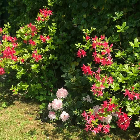 فندق مبيت وإفطار D'hotes 