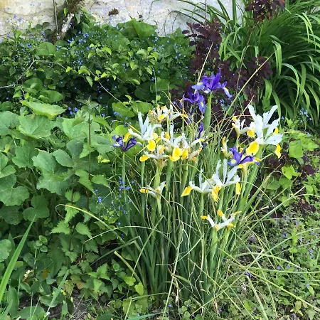 فندق مبيت وإفطار D'hotes 