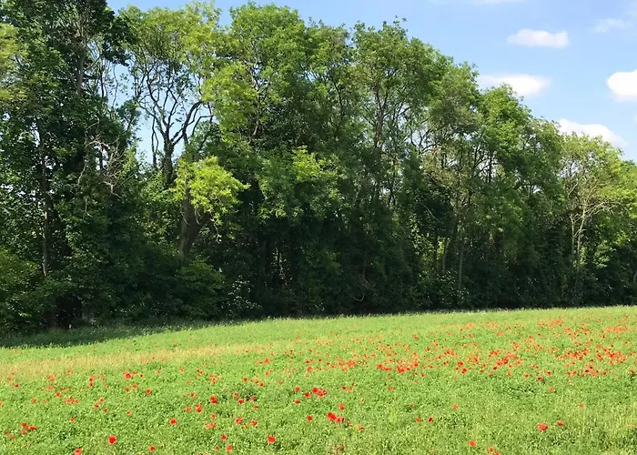 Nocleg ze śniadaniem D'hotes 